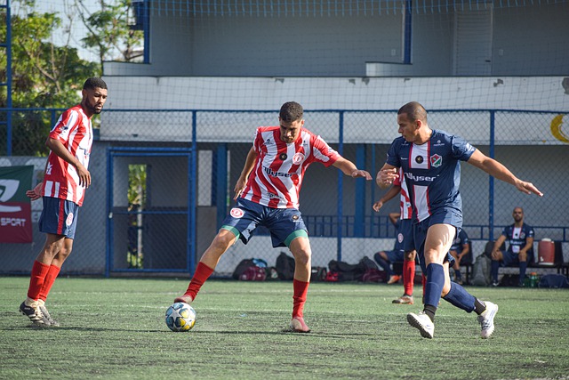 着他们将不 着他们将不