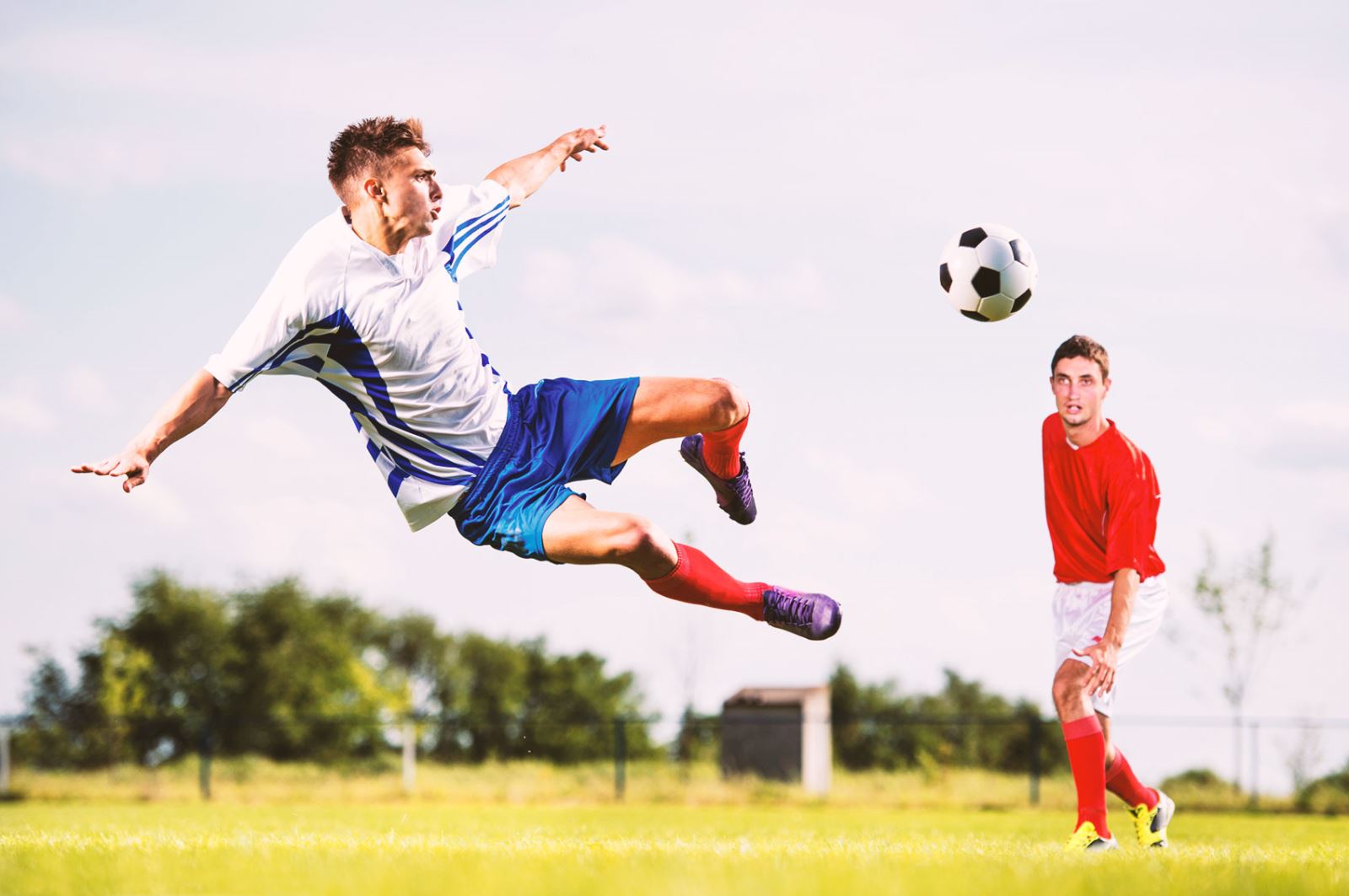 有着感人至 有着感人至