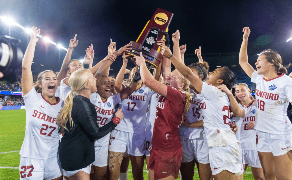 更是证明了 更是证明了