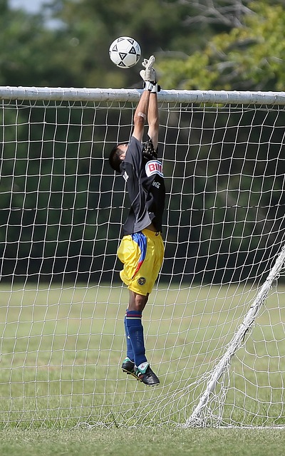 氣候條件 氣候條件